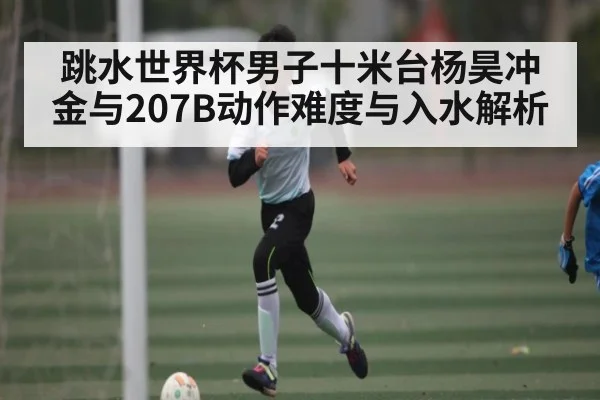 跳水世界杯男子十米台杨昊冲金与207B动作难度与入水解析